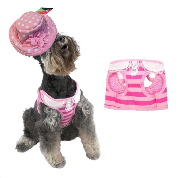 NWT Vibrant Life Harness Pink Striped With Lace Size XSmall free hat included - Picture 10 of 13